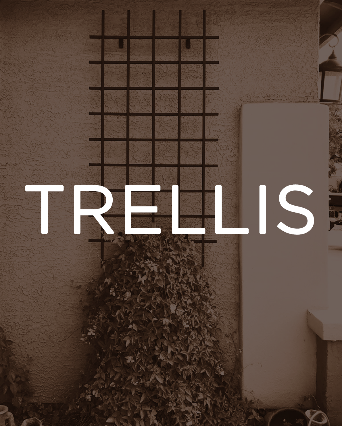Steel Trellis - Wild West Ironworx Arizona